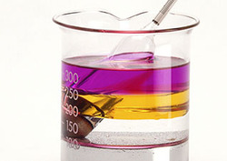 Factpack: Mercury in Food Chains Instructional Video