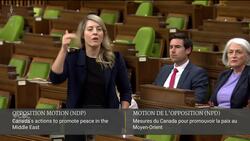 Canada 'can't change foreign policy' based on NDP motion, foreign affairs minister says News Clip
