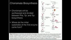 Chorismate, Phenylalanine, Tyrosine Biosynthesis Instructional Video