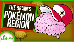 Your Brain Probably has a "Pokemon Region" | SciShow News Instructional Video
