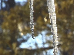 Investigando el agua: video de evaluación Instructional Video