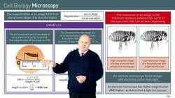 Microscopes: Magnification and Resolution Instructional Video