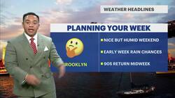 Warm and humid Sunday in Brooklyn; storm chances return Monday Instructional Video