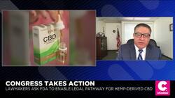Lawmakers Seek Guidance From FDA on Path to Selling Edible CBD Products News Clip