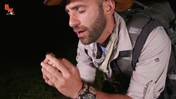 My BIG FAT Green Tree Frog! Instructional Video