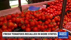 Fresh tomatoes recalled 11 states News Clip