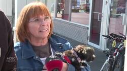 What do voters in Windsor—Tecumseh—Lakeshore riding care about this election? News Clip