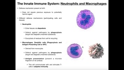 Physiology of Neutrophils, Macrophages, and Dendritic Cells Instructional Video