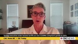 There is 'no playbook' for tariff and trade negotiations, says business leader News Clip