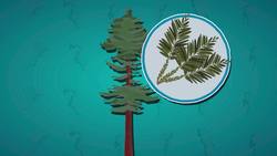 Fog Facts Instructional Video