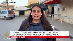 Deadly Israeli strikes hit Gaza City, Khan Younis; WFP warns of rising malnutrition News Clip