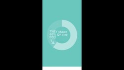 Britain's Bacon Crisis: Why the UK Might Have to Burn it's Pigs - TLDR #Shorts Instructional Video