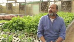 Cairo's aquaponic farm leading the way for organics News Clip