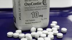 OxyContin maker Purdue Pharma files for bankruptcy News Clip