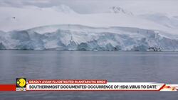 Deadly avian flu spreading in Antarctica News Clip