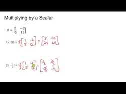 Scalar Multiplication Instructional Video