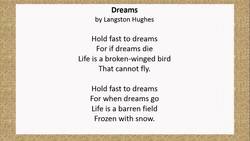 Summarizing a Poem Instructional Video