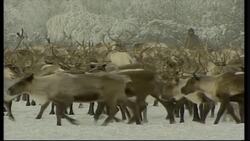 The Impact of Climate Change and the Kyoto Protocol: A Call for Action Instructional Video