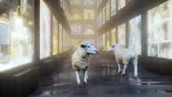 Promoting Equality Instructional Video