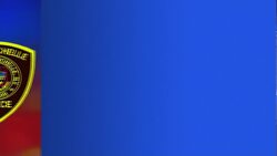 Police: Teen found with $90K in checks from US Treasury after New Rochelle traffic stop News Clip