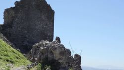 Misinterpretations: Laocoon and His Sons | AmorSciendi Instructional Video