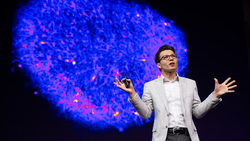 TED: How we're reverse engineering the human brain in the lab | Sergiu P. Pasca Instructional Video