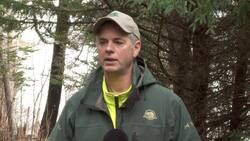 Fewer moose in Terra Nova National Park for a few reasons, says Parks Canada News Clip