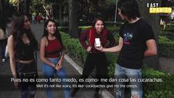 What are you afraid of Instructional Video