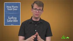 How Bacteria Helped Plants Take Over the World | SciShow News Instructional Video