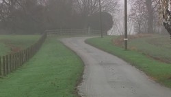 Bird Flu Discovered At Northallerton Farm News Clip