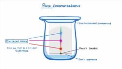GCSE Chemistry - Paper Chromatography #63 Instructional Video