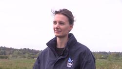 Battle continues to protect wildlife-rich Swanscombe Peninsula News Clip