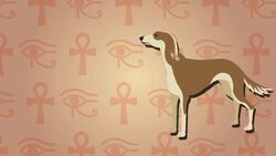 I WONDER - Why Were Cats Important To Egyptians? Instructional Video