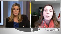 Canadian consul general in Texas says recovery will take days News Clip