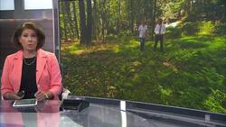 School officials: Person found dead in New Canaan woods was a student from Westhill High School Instructional Video