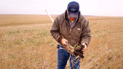 Sustainable Farming - A Life of Stewardship and Soil Care Instructional Video