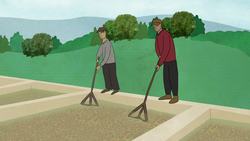 The life cycle of a cup of coffee | A.J. Jacobs Instructional Video