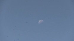 CLEAN : Raptors safely migrate over Lebanon's Daraya after hunting ban News Clip