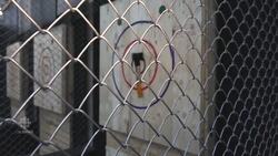 Axe Throwing Ottawa News Clip