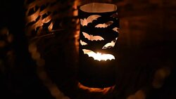 Atmosphere of Halloween Stock Footage