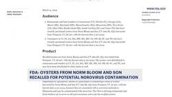 FDA recalling oysters from Westport company over norovirus concerns News Clip