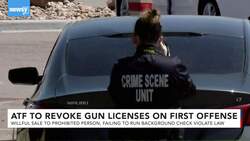 Pres. Biden Targets Gun Dealers, Pushes Jobs In Violence Prevention News Clip