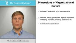 Dimensions of Organizational Culture Instructional Video