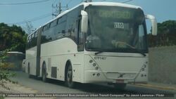 How to Get Around Jamaica Instructional Video