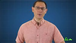 I Cant Believe Its Not Wood Instructional Video