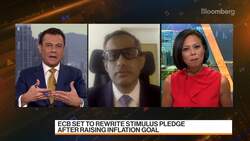 Bos: Virus Resurgence Will Dent, but Not Derail Economic Recovery News Clip