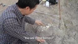 China’s building boom churns up dinosaur fossils Instructional Video