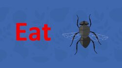 I WONDER - What Do Some Plants Eat? Instructional Video