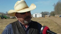 How to protect livestock from wildfires News Clip