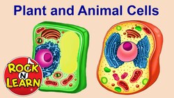 Plant and Animal Cells for Kids Instructional Video